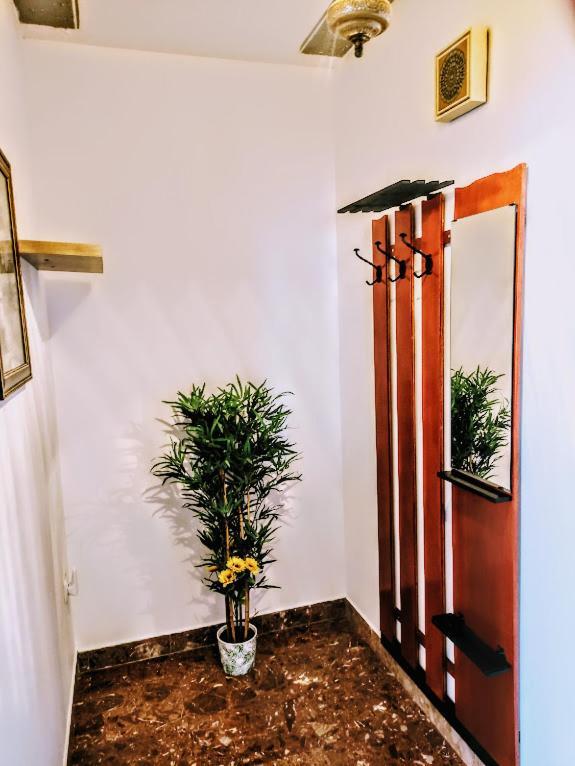 Apartmani Mila A1 & A2 & 3 Trogir Exterior photo